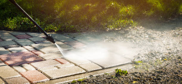 Best Graffiti Removal  in Rosenberg, TX